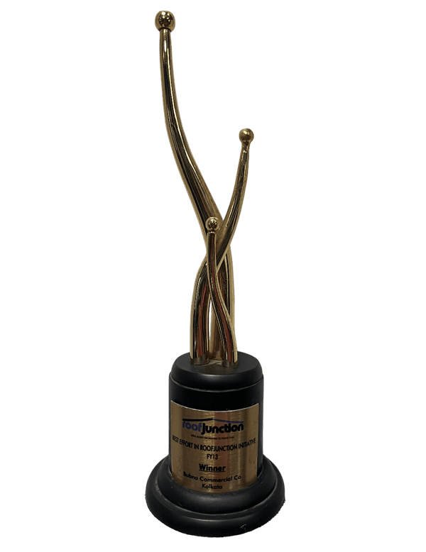 Winner – Best Effort for Roof Junction, 2013